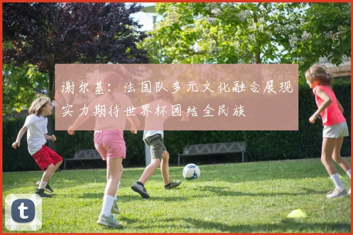 谢尔基：法国队多元文化融合展现实力期待世界杯团结全民族