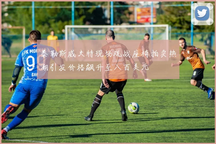 泰勒斯威夫特现场观战座椅拍卖热潮引发价格飙升至八百美元