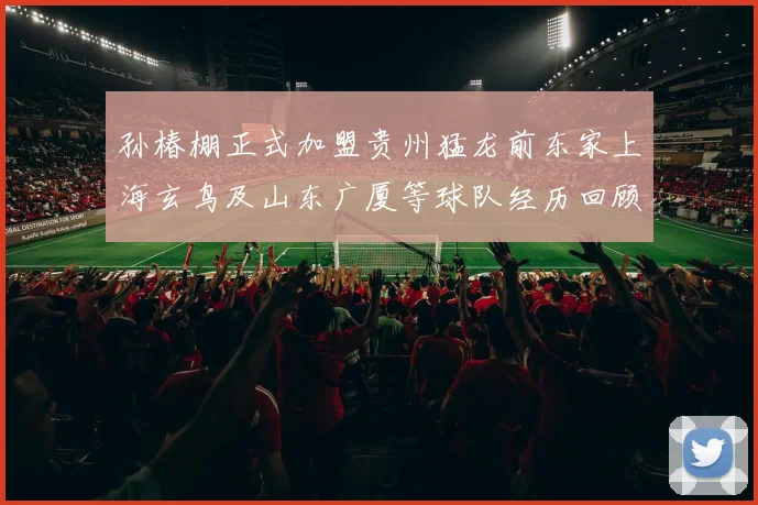 孙椿棚正式加盟贵州猛龙前东家上海玄鸟及山东广厦等球队经历回顾