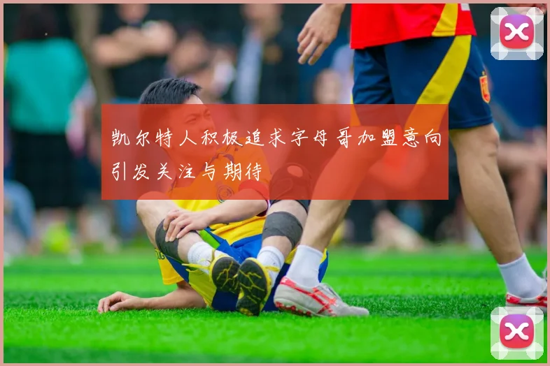 凯尔特人积极追求字母哥加盟意向引发关注与期待